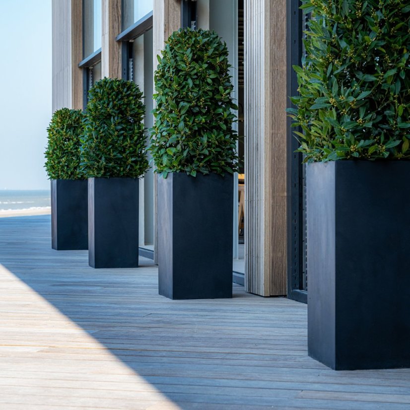 Květináč Bouvy černý