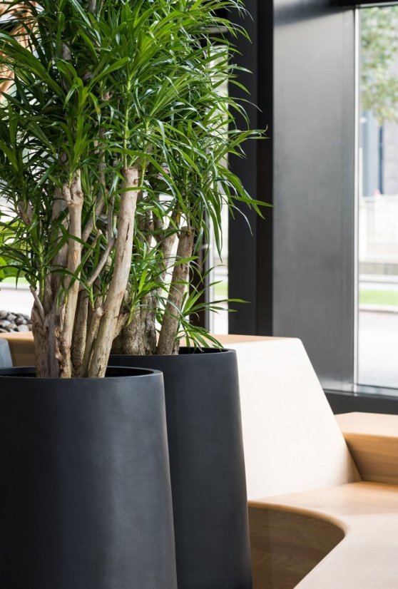 Květináč Nax černý