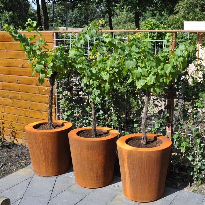 Cortenový květináč kónický s dnem - Velikost květináče: Ø 600 × v 600 mm