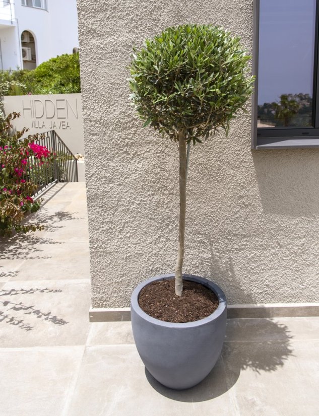 Květináč Jesslyn šedý