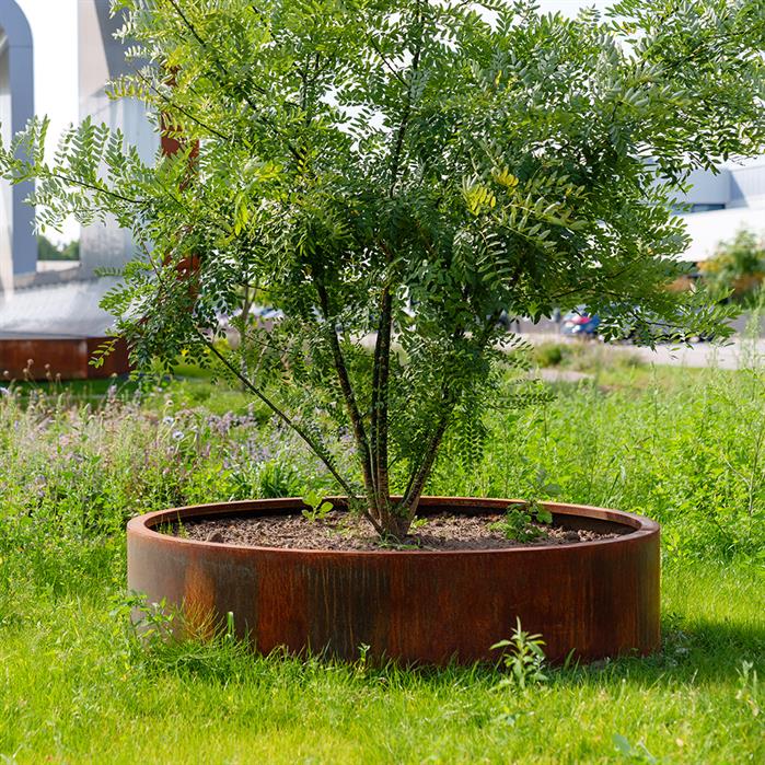 Cortenový vyvýšený záhon kulatý - Velikost vyvýšeného záhonu: Ø 1500 × 400 mm