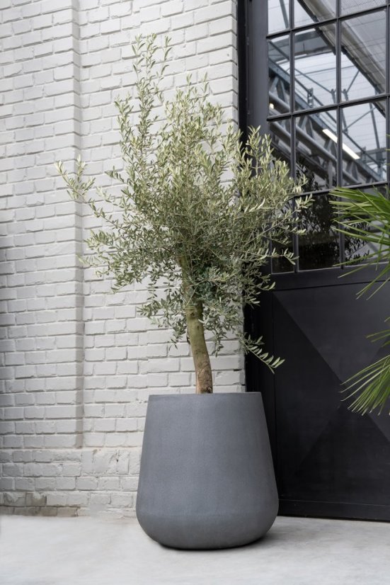 Květináč Pax šedý