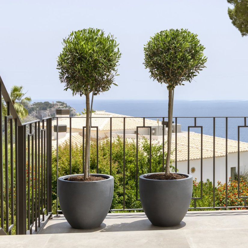 Květináč Jesslyn šedý