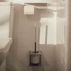 Nástenný držiak toaletného papiera RAWW, prírodný hliník