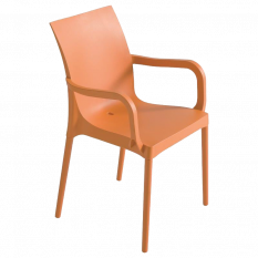 Plastová židle Eset s područkami